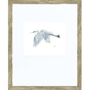 KS- GREY HERON STUDY 2